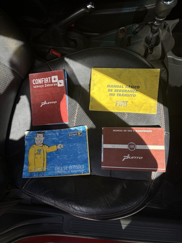 PUNTO 1.4 ELX 8V FLEX 4P MANUAL - 2008 - FARROUPILHA