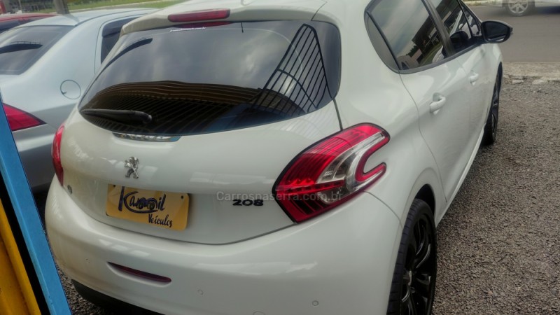 208  - 2014 - SAPIRANGA