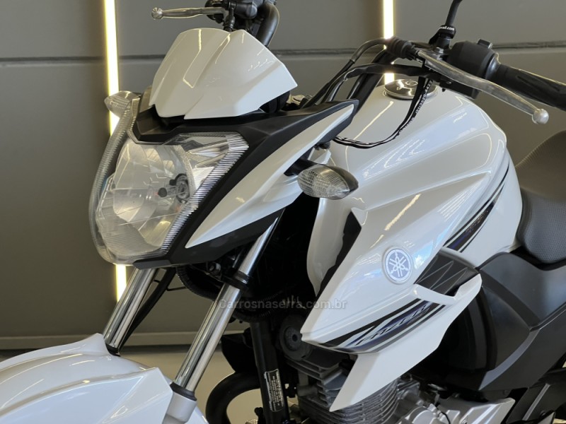 FAZER YS 150 SED - 2015 - SAPIRANGA