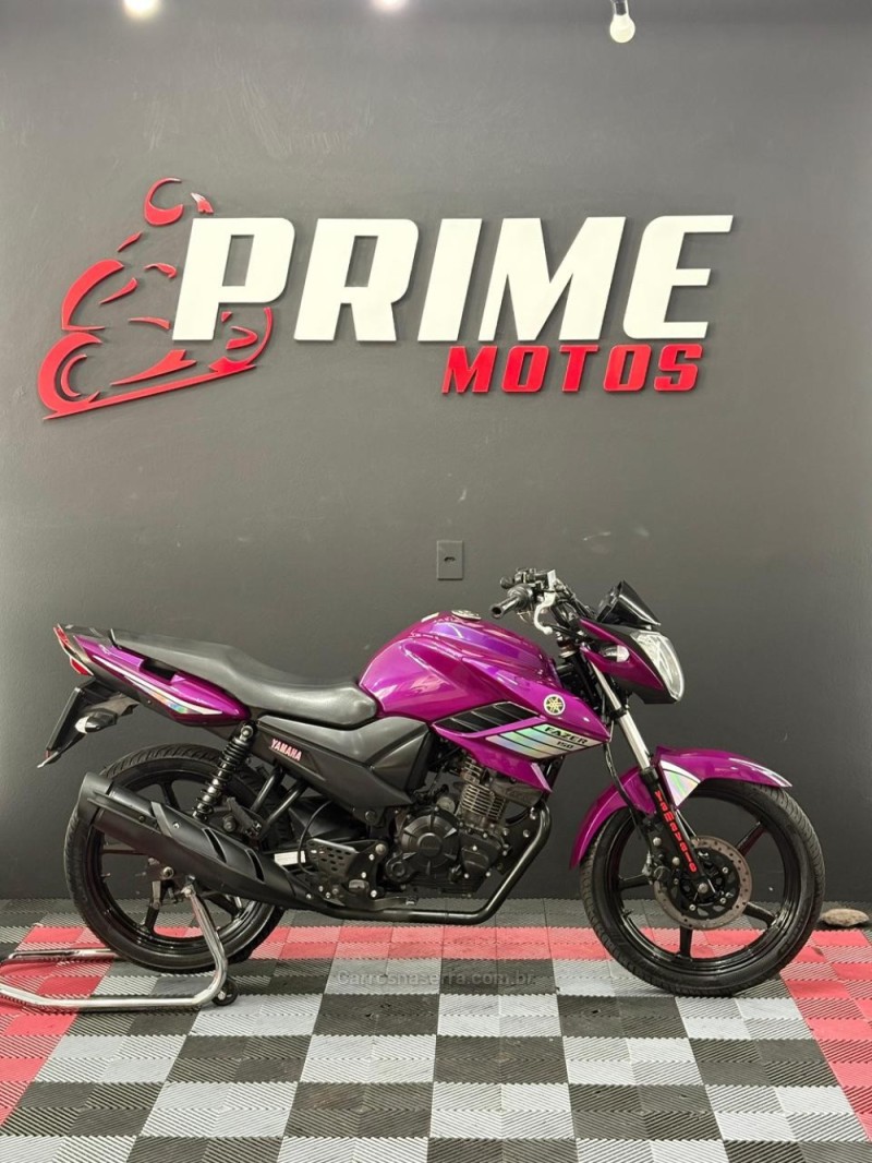 FAZER  - 2018 - NOVO HAMBURGO