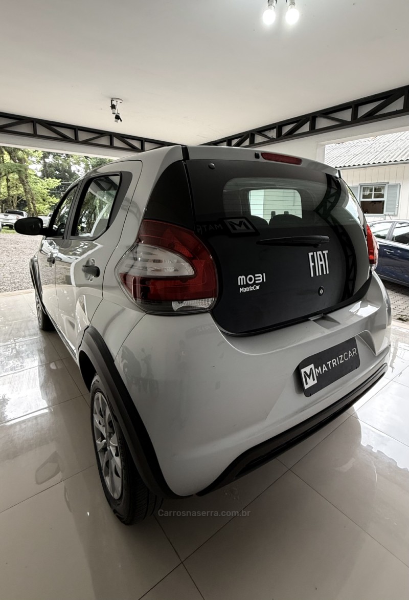 MOBI 1.0 6V FIREFLY FLEX LIKE MANUAL - 2024 - CANELA