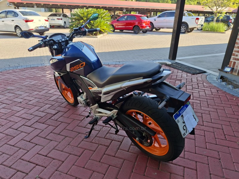 CB 250F TWISTER CBS - 2020 - ROLANTE