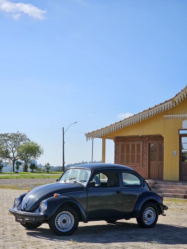 FUSCA 1.6 8V GASOLINA 2P MANUAL - 1996 - ANTôNIO PRADO