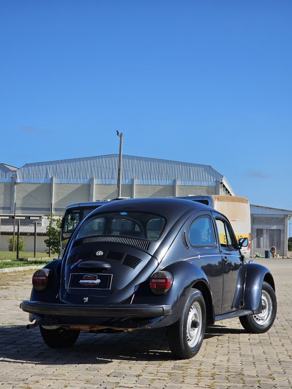 FUSCA 1.6 8V GASOLINA 2P MANUAL - 1996 - ANTôNIO PRADO