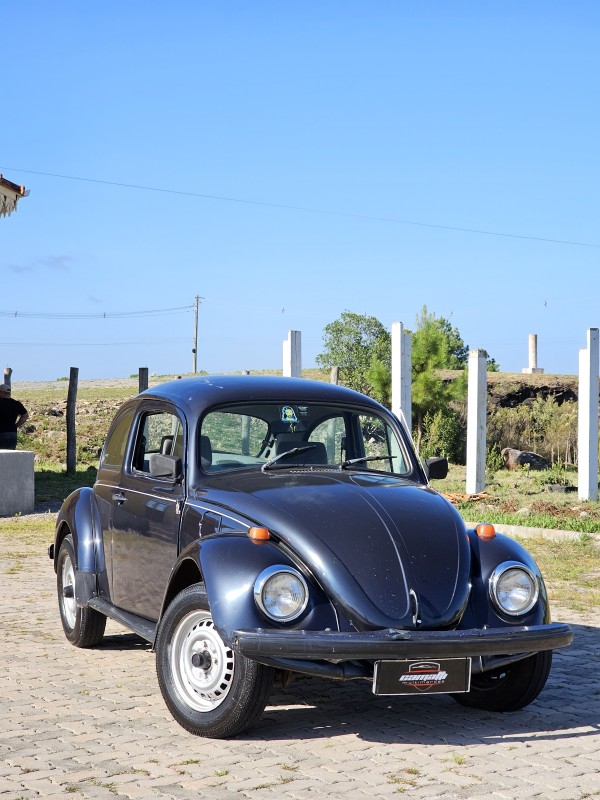 FUSCA 1.6 8V GASOLINA 2P MANUAL - 1996 - ANTôNIO PRADO