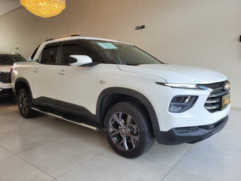 MONTANA  - 2025 - CANELA