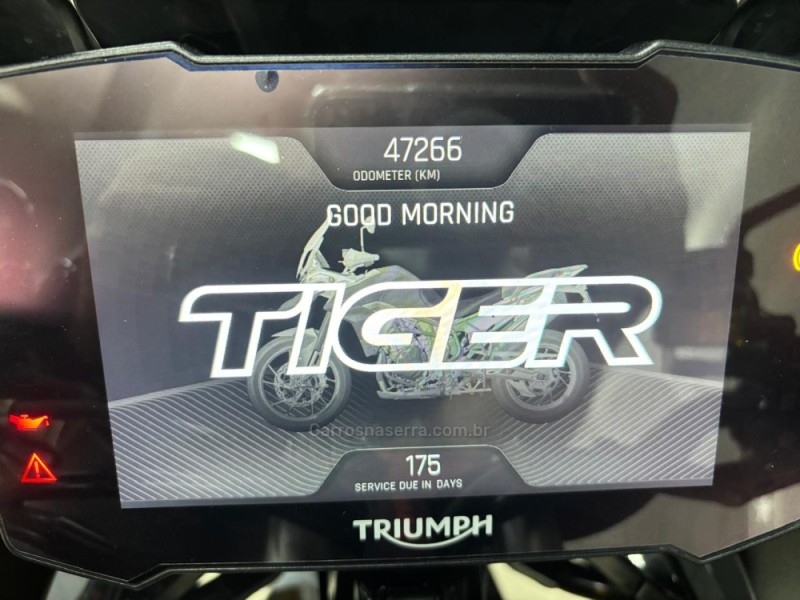 TIGER 900 RALLY PRO  - 2022 - CAXIAS DO SUL