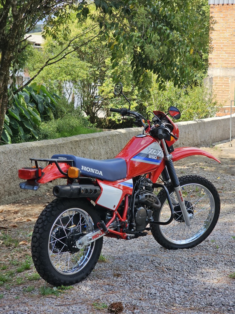 XLX 250R  - 1987 - ANTôNIO PRADO
