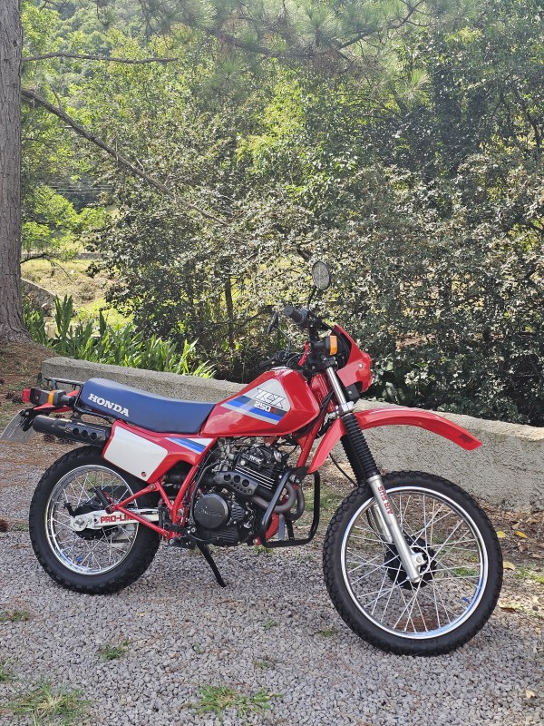 XLX 250R  - 1987 - ANTôNIO PRADO