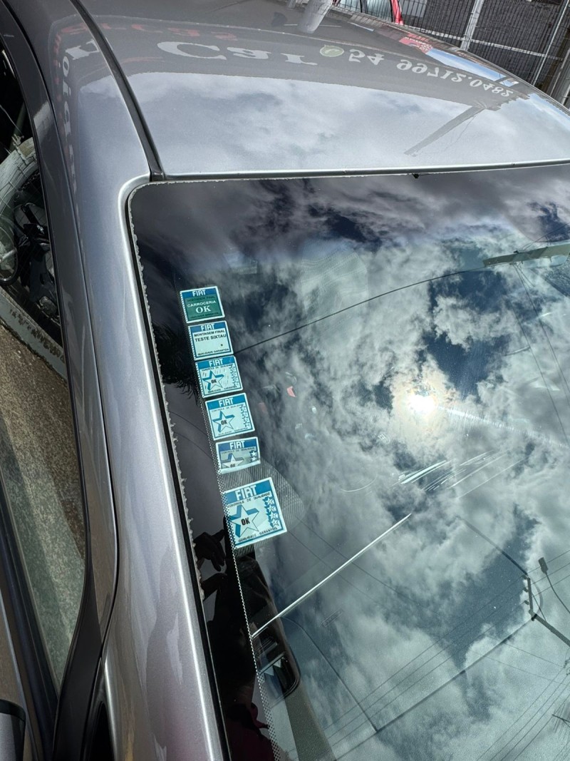 PUNTO 1.4 ELX 8V FLEX 4P MANUAL - 2010 - VACARIA