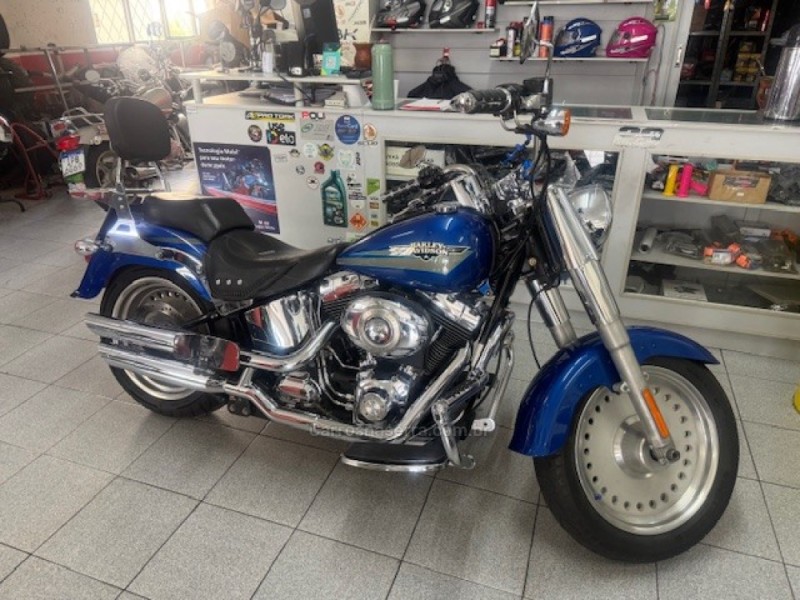 fat boy flstf 2010 garibaldi