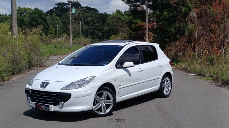 307 1.6 presence 16v flex 4p manual 2012 caxias do sul