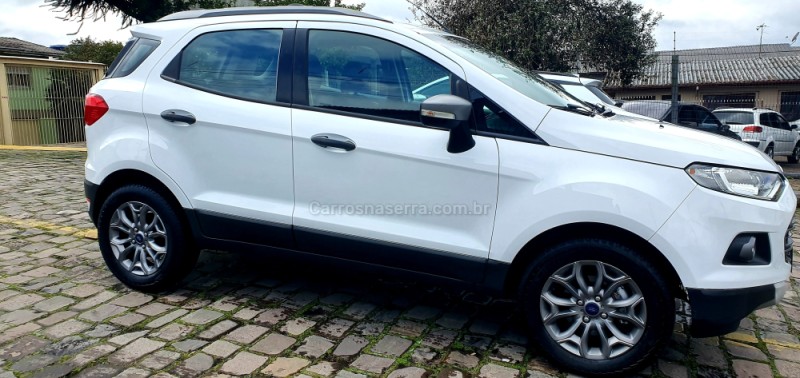 ECOSPORT 2.0 FREESTYLE 16V FLEX 4P AUTOMÁTICO - 2015 - CAXIAS DO SUL
