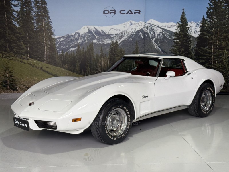 CORVETTE  - 1976 - GARIBALDI