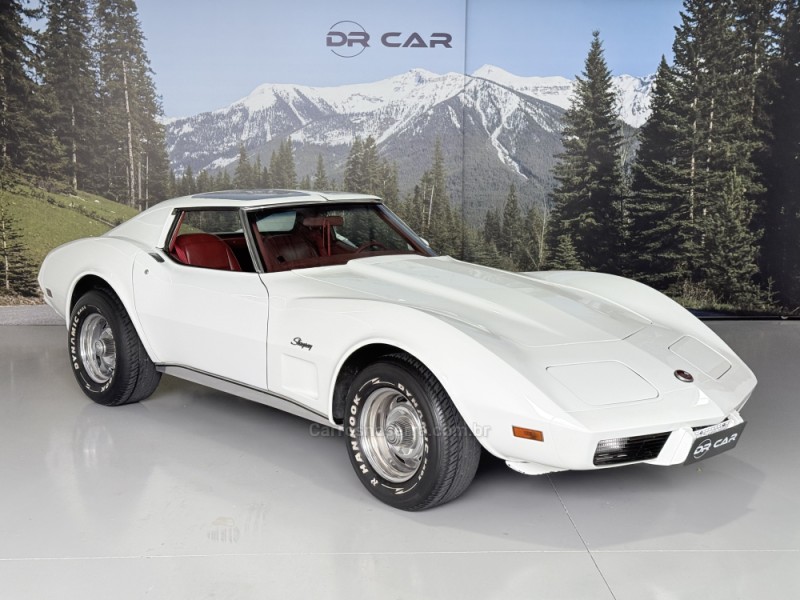 corvette  1976 garibaldi