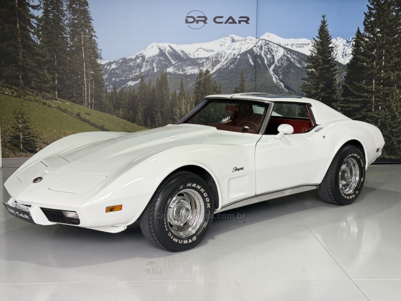 CORVETTE  - 1976 - GARIBALDI