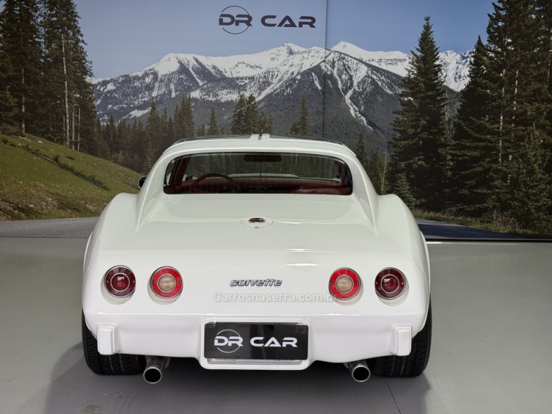 CORVETTE  - 1976 - GARIBALDI