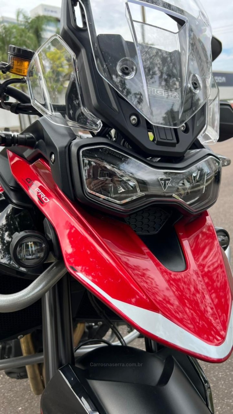 TIGER 900 GT PRO  - 2025 - NOVO HAMBURGO