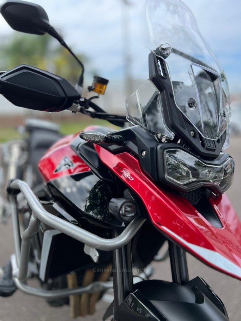 TIGER 900 GT PRO  - 2025 - NOVO HAMBURGO