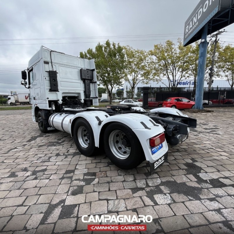 XF  - 2019 - VACARIA