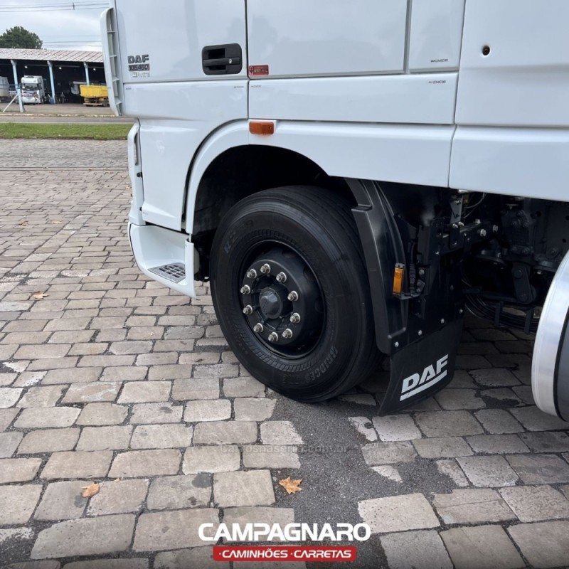 XF  - 2019 - VACARIA