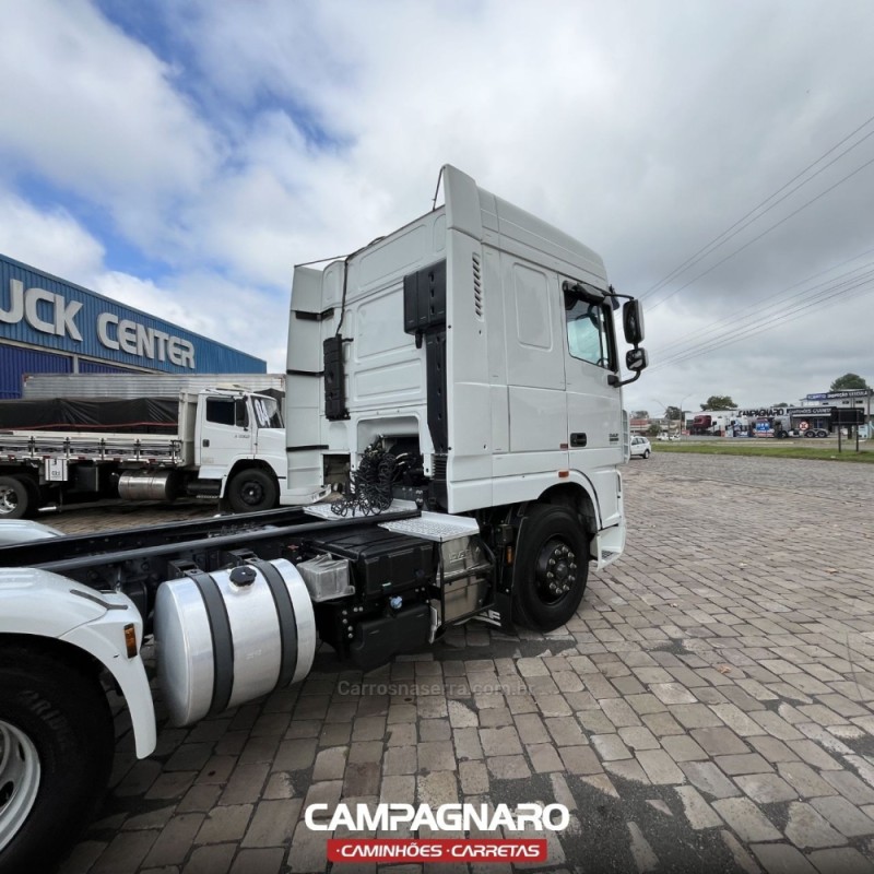 XF  - 2019 - VACARIA