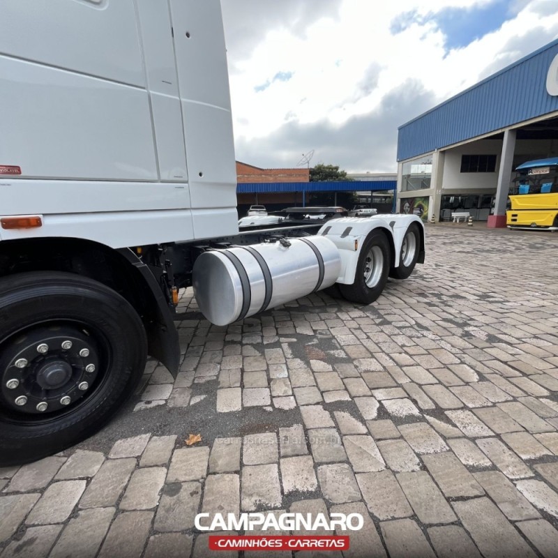 XF  - 2019 - VACARIA