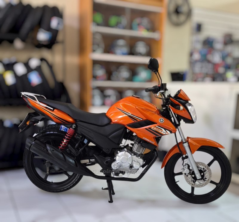 fazer  2014 novo hamburgo