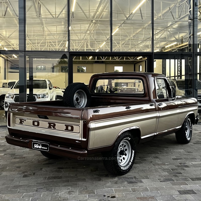 F-1000 3.9 SUPER SÉRIE CS 8V DIESEL 2P MANUAL - 1983 - VACARIA