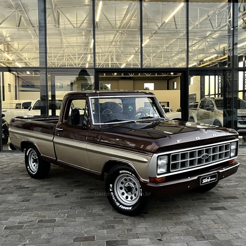 F-1000 3.9 SUPER SÉRIE CS 8V DIESEL 2P MANUAL - 1983 - VACARIA