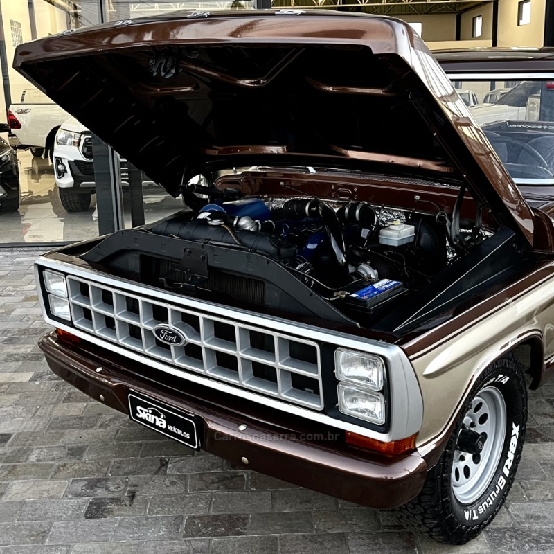 F-1000 3.9 SUPER SÉRIE CS 8V DIESEL 2P MANUAL - 1983 - VACARIA