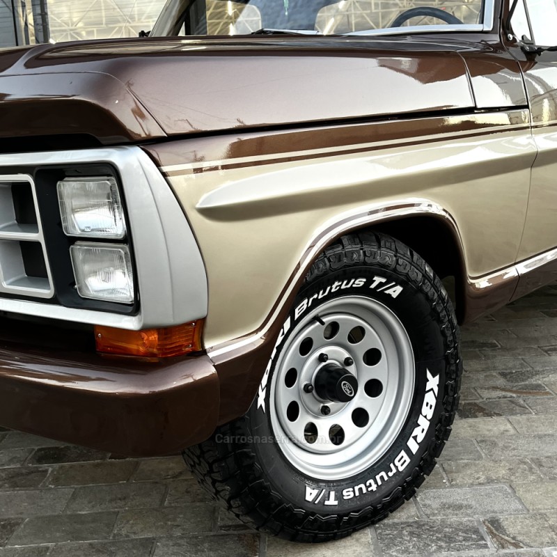 F-1000 3.9 SUPER SÉRIE CS 8V DIESEL 2P MANUAL - 1983 - VACARIA