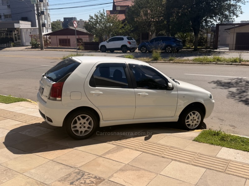 PALIO 1.4 MPI ELX 8V FLEX 4P MANUAL - 2007 - FARROUPILHA
