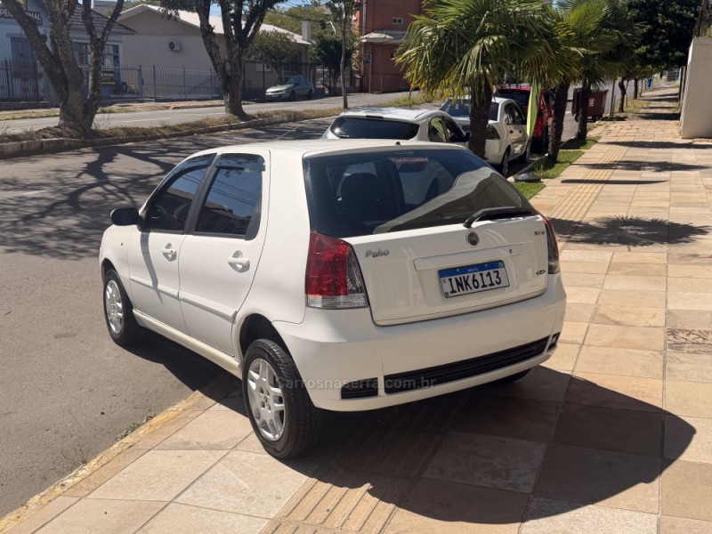 PALIO 1.4 MPI ELX 8V FLEX 4P MANUAL - 2007 - FARROUPILHA