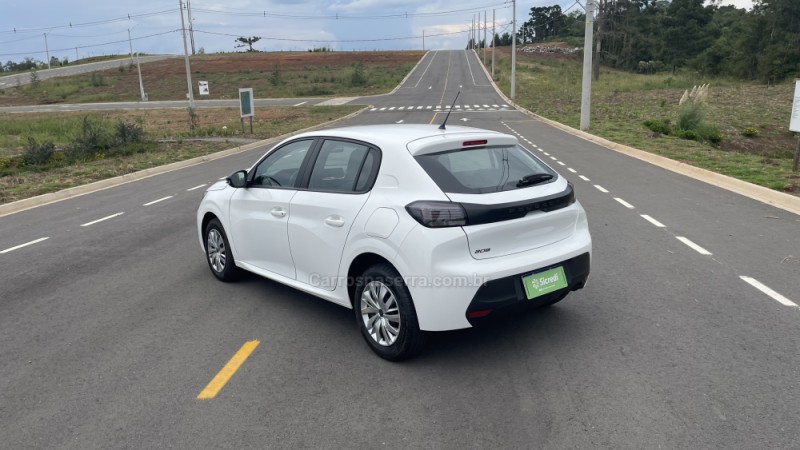 208 1.0 FIREFLY FLEX LIKE MANUAL - 2025 - VILA FLORES