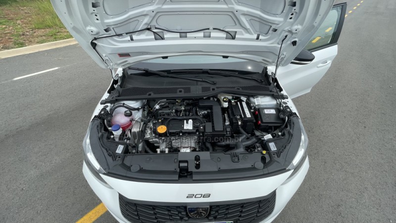 208 1.0 FIREFLY FLEX LIKE MANUAL - 2025 - VILA FLORES