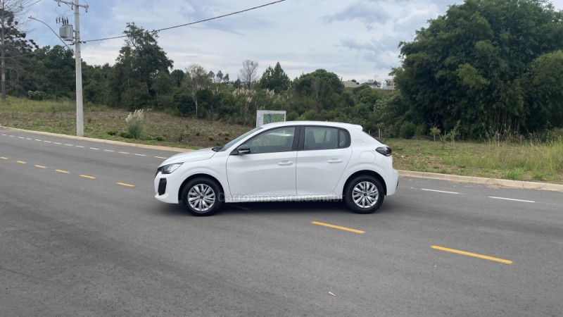 208 1.0 FIREFLY FLEX LIKE MANUAL - 2025 - VILA FLORES