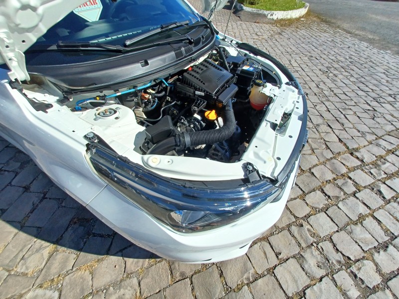 ARGO 1.0 FIREFLY FLEX 4P MANUAL - 2021 - FLORES DA CUNHA