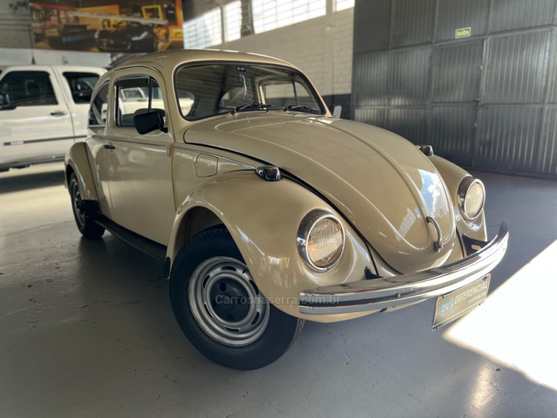 FUSCA 1.3 L 8V GASOLINA 2P MANUAL - 1986 - CAXIAS DO SUL