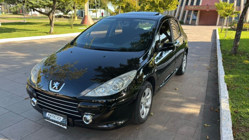 307 1.6 PRESENCE 16V FLEX 4P MANUAL - 2009 - BENTO GONçALVES