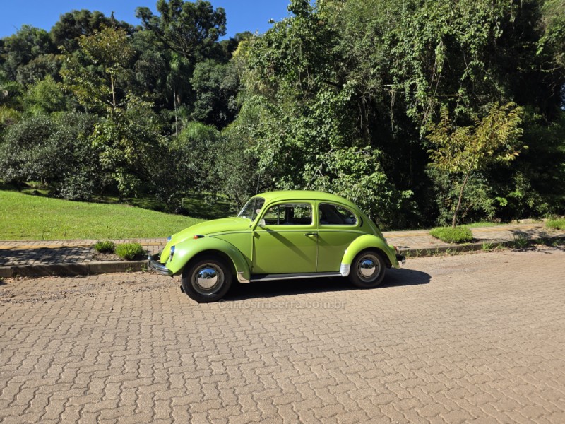 FUSCA 1.3 L 8V GASOLINA 2P MANUAL - 1974 - NOVA PETRóPOLIS