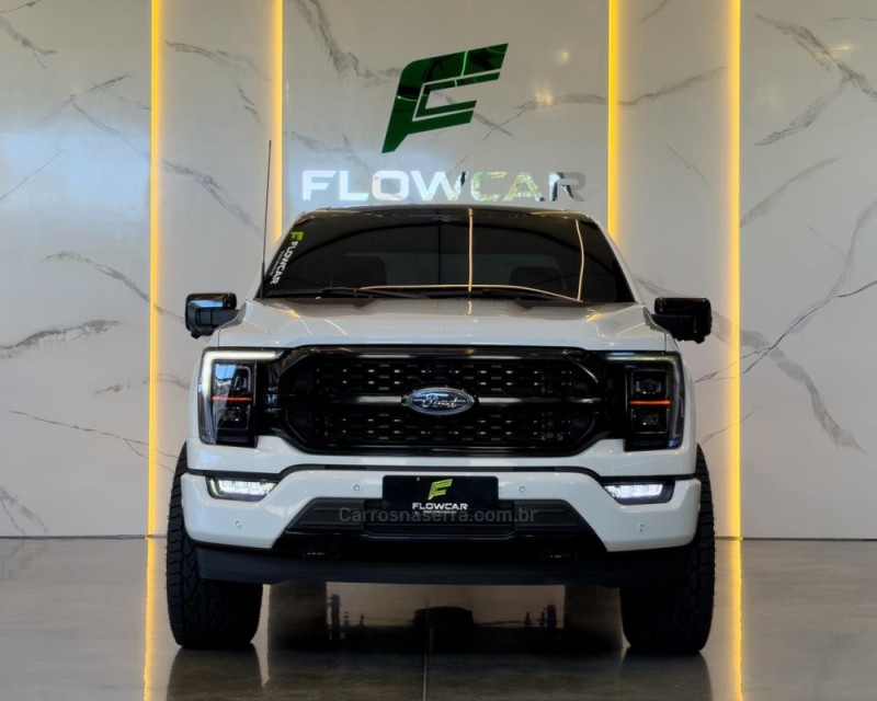 F-150 5.0 PLATINUM 4X4 V8 16V GASOLINA 4P AUTOMÁTICO - 2023 - GARIBALDI
