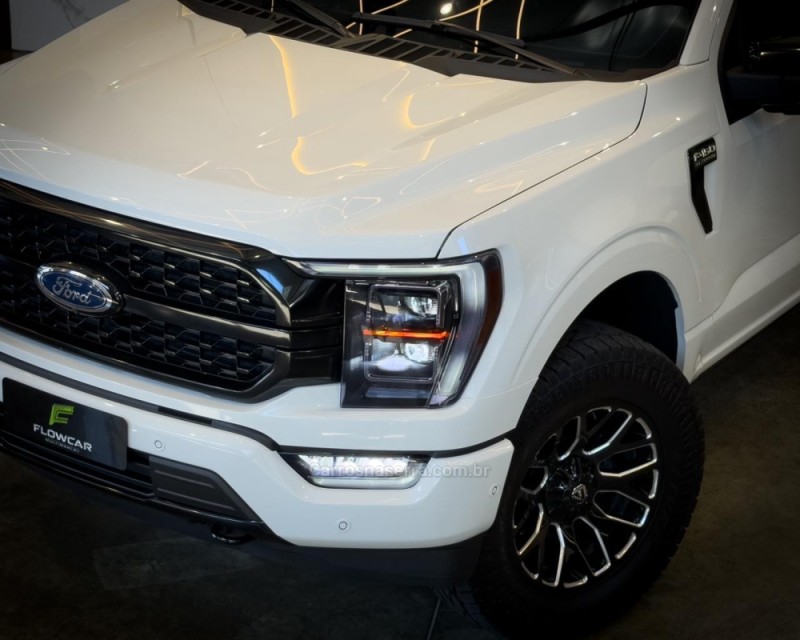 F-150 5.0 PLATINUM 4X4 V8 16V GASOLINA 4P AUTOMÁTICO - 2023 - GARIBALDI