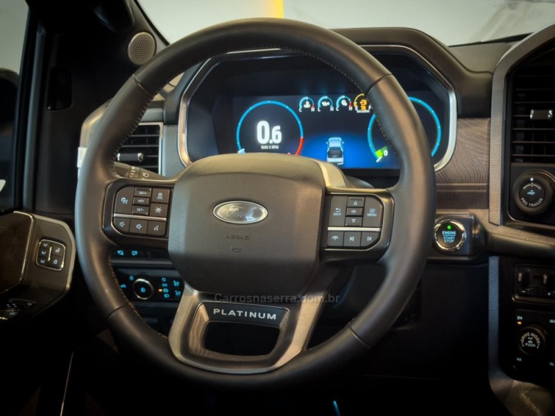 F-150 5.0 PLATINUM 4X4 V8 16V GASOLINA 4P AUTOMÁTICO - 2023 - GARIBALDI