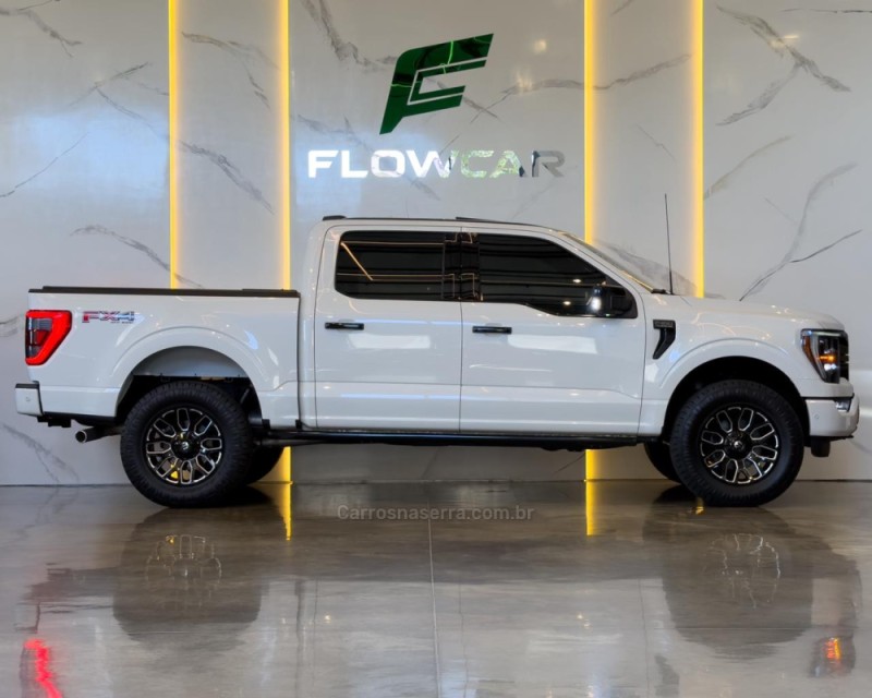 F-150 5.0 PLATINUM 4X4 V8 16V GASOLINA 4P AUTOMÁTICO - 2023 - GARIBALDI