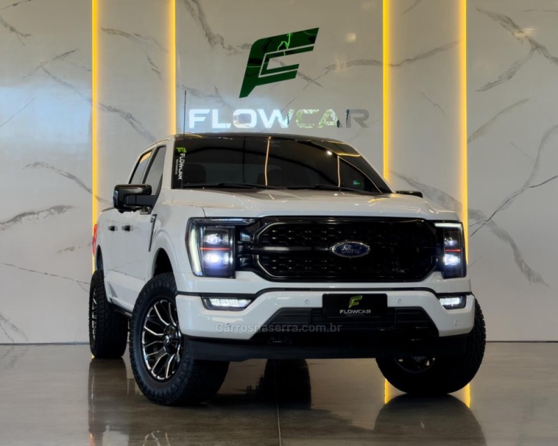 F-150 5.0 PLATINUM 4X4 V8 16V GASOLINA 4P AUTOMÁTICO - 2023 - GARIBALDI