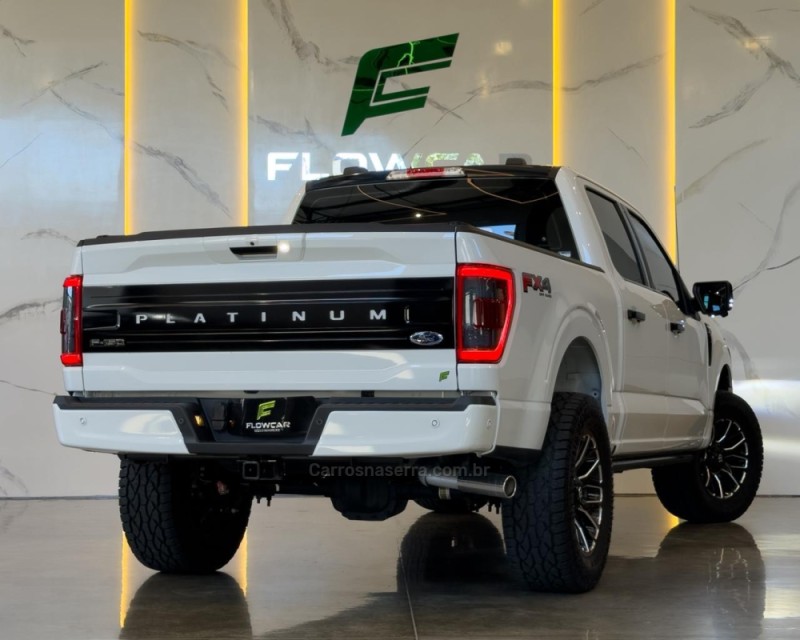 F-150 5.0 PLATINUM 4X4 V8 16V GASOLINA 4P AUTOMÁTICO - 2023 - GARIBALDI
