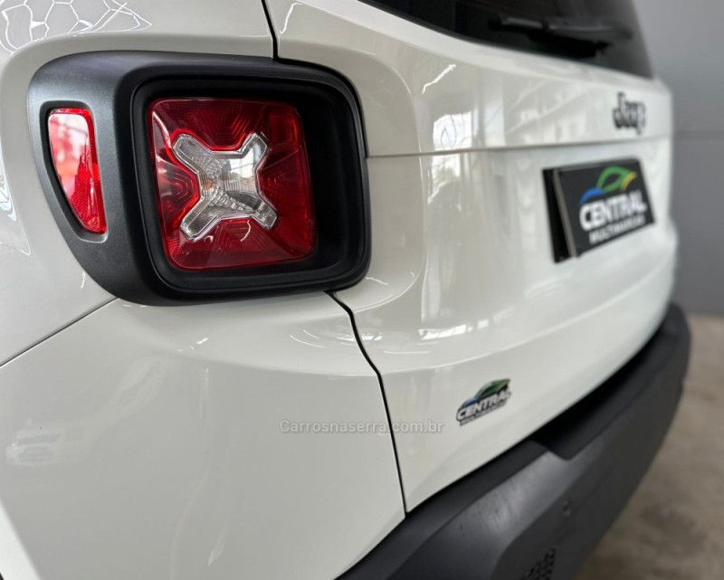 RENEGADE 1.8 16V FLEX 4P MANUAL - 2016 - VACARIA