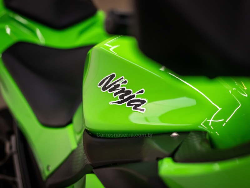 NINJA 300 ABS LIMITED EDITION - 2013 - CAXIAS DO SUL