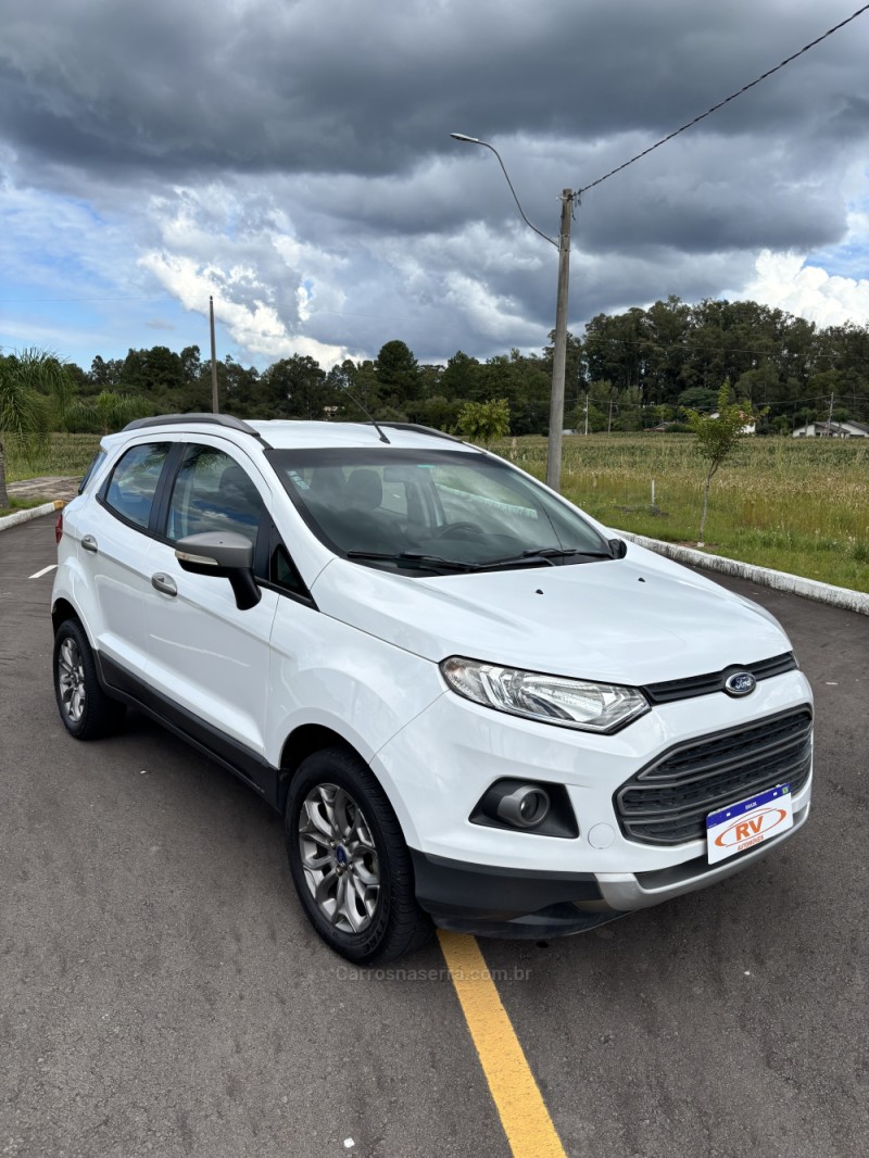 ECOSPORT 1.6 FREESTYLE 8V FLEX 4P MANUAL - 2015 - CARLOS BARBOSA